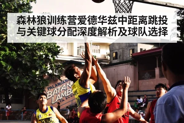 森林狼训练营爱德华兹中距离跳投与关键球分配深度解析及球队选择