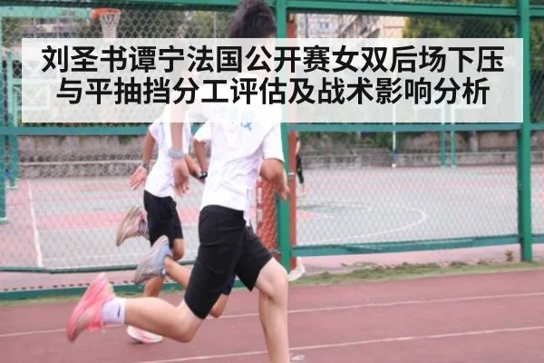 刘圣书谭宁法国公开赛女双后场下压与平抽挡分工评估及战术影响分析