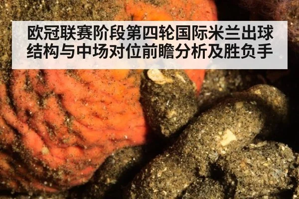 欧冠联赛阶段第四轮国际米兰出球结构与中场对位前瞻分析及胜负手